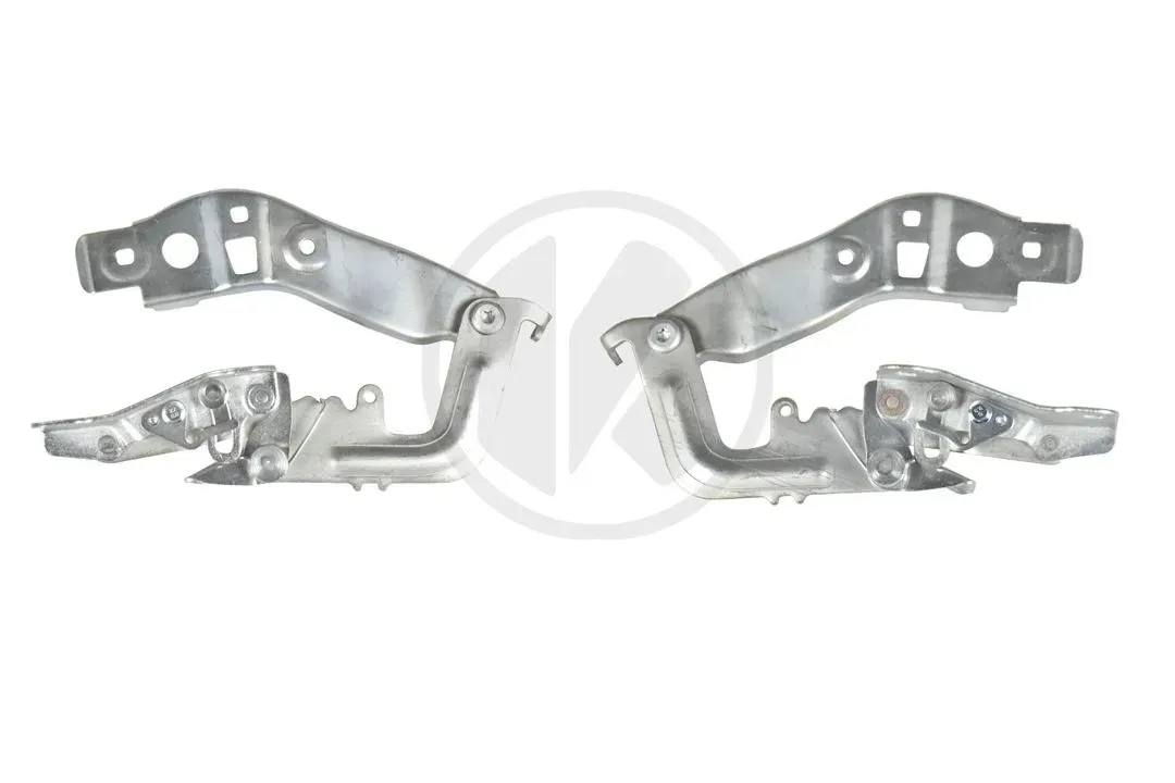 HINGE L/R